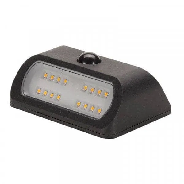 PIR Sentinel Light