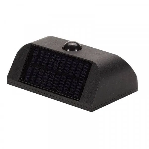 PIR Sentinel Light