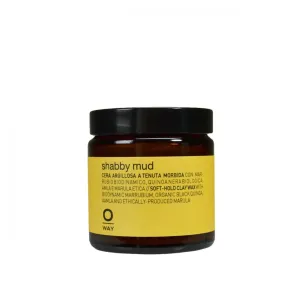 styling & finish SHABBY MUD 100mL
